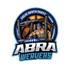 https://img.airdis.com.cn/img/basketball/team/5251264ba0d83732beb7883f424e6a8f.png