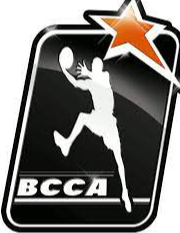 https://img.airdis.com.cn/img/basketball/team/86eb4908777714248caec71cbbc0c7db.png